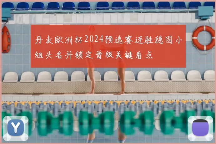 丹麦欧洲杯2024预选赛连胜稳固小组头名并锁定晋级关键看点