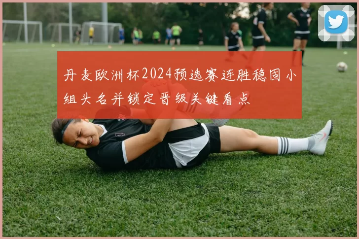 丹麦欧洲杯2024预选赛连胜稳固小组头名并锁定晋级关键看点